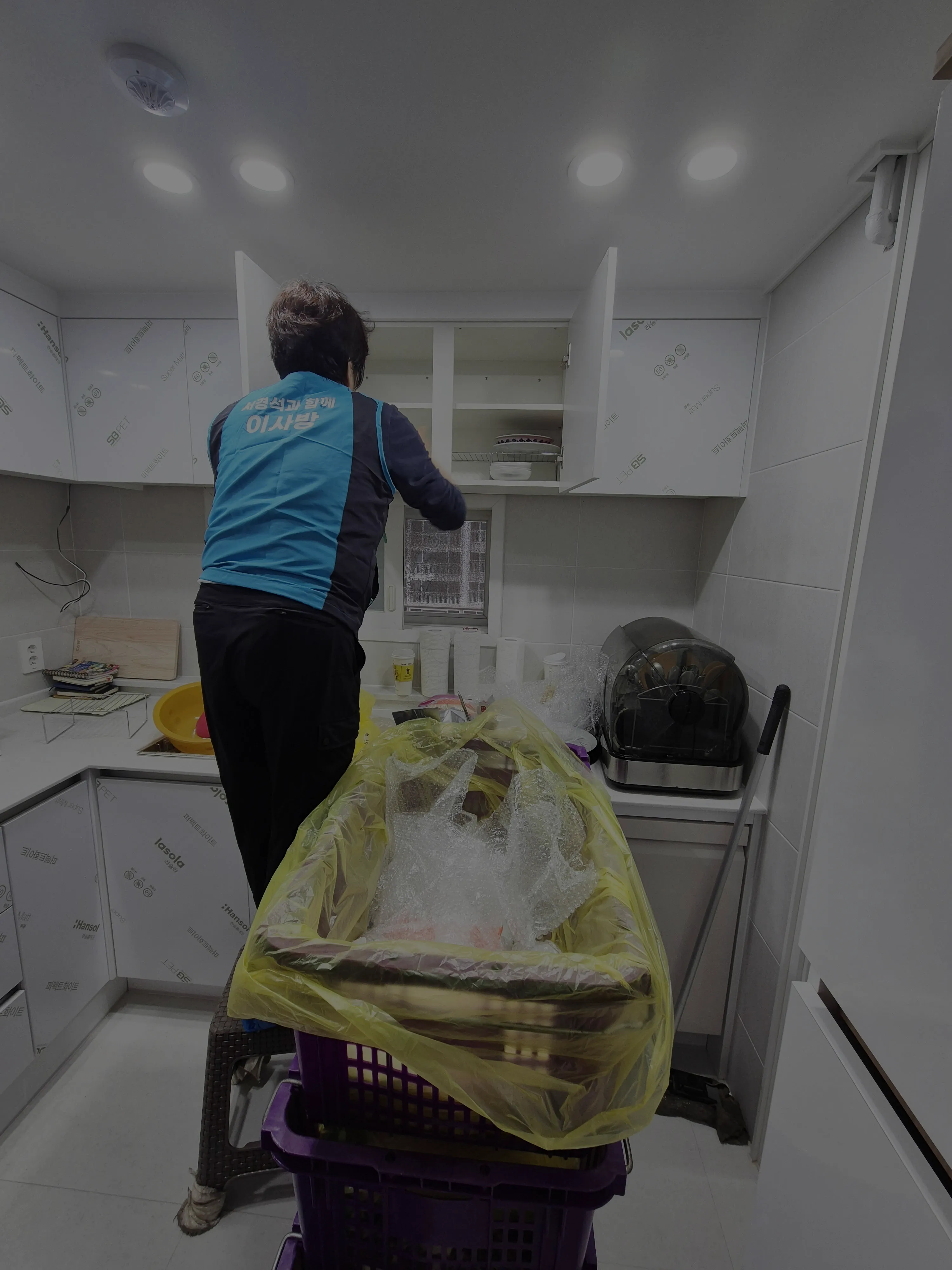 영덕동포장이사